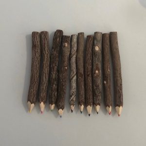 Coloured pencils made from natural twigs